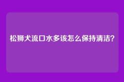 松狮犬流口水多该怎么保持清洁？