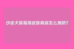 沙皮犬容易得皮肤病该怎么预防？