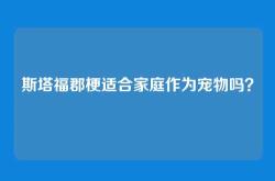 斯塔福郡梗适合家庭作为宠物吗？