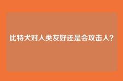 比特犬对人类友好还是会攻击人？