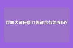昆明犬适应能力强适合各地养吗？