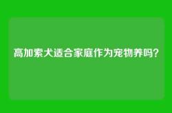 高加索犬适合家庭作为宠物养吗？