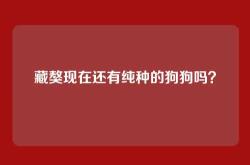 藏獒现在还有纯种的狗狗吗？