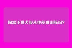阿富汗猎犬服从性差难训练吗？