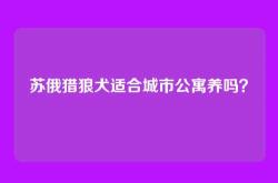 苏俄猎狼犬适合城市公寓养吗？
