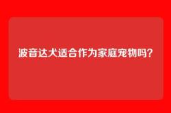 波音达犬适合作为家庭宠物吗？
