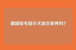 德国短毛指示犬适合家养吗？