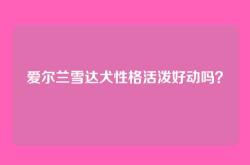 爱尔兰雪达犬性格活泼好动吗？