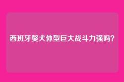 西班牙獒犬体型巨大战斗力强吗？