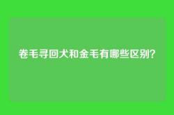 卷毛寻回犬和金毛有哪些区别？