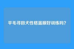 平毛寻回犬性格温顺好训练吗？