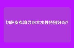 切萨皮克湾寻回犬水性特别好吗？