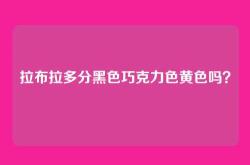 拉布拉多分黑色巧克力色黄色吗？
