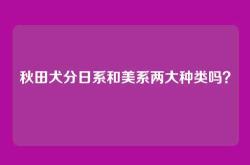 秋田犬分日系和美系两大种类吗？