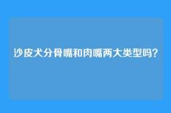 沙皮犬分骨嘴和肉嘴两大类型吗？