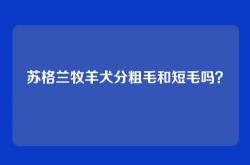 苏格兰牧羊犬分粗毛和短毛吗？