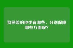 狗保险的种类有哪些，分别保障哪些方面呢？