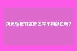 贝灵顿梗有蓝肝色等不同颜色吗？