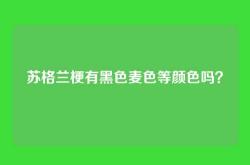 苏格兰梗有黑色麦色等颜色吗？