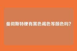 曼彻斯特梗有黑色褐色等颜色吗？