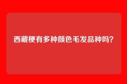西藏梗有多种颜色毛发品种吗？
