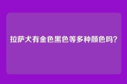 拉萨犬有金色黑色等多种颜色吗？