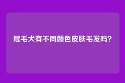 冠毛犬有不同颜色皮肤毛发吗？