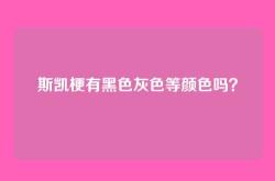 斯凯梗有黑色灰色等颜色吗？
