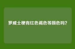 罗威士梗有红色褐色等颜色吗？