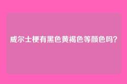 威尔士梗有黑色黄褐色等颜色吗？