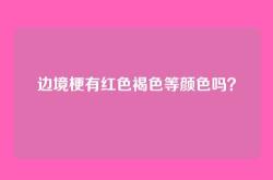 边境梗有红色褐色等颜色吗？