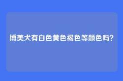 博美犬有白色黄色褐色等颜色吗？