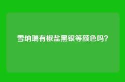 雪纳瑞有椒盐黑银等颜色吗？