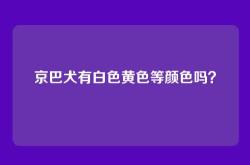 京巴犬有白色黄色等颜色吗？