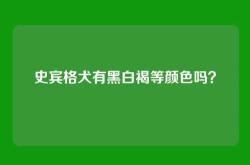 史宾格犬有黑白褐等颜色吗？