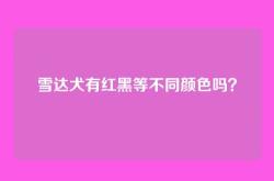雪达犬有红黑等不同颜色吗？