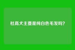 杜高犬主要是纯白色毛发吗？