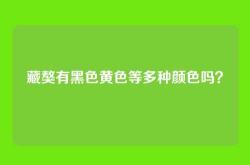 藏獒有黑色黄色等多种颜色吗？