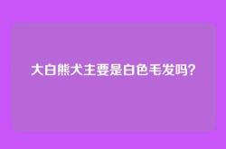 大白熊犬主要是白色毛发吗？