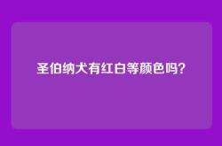 圣伯纳犬有红白等颜色吗？