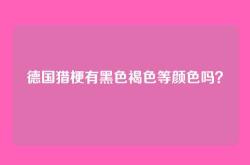 德国猎梗有黑色褐色等颜色吗？