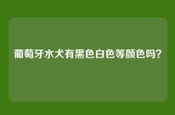 葡萄牙水犬有黑色白色等颜色吗？