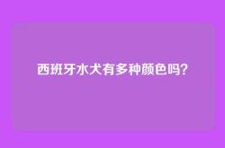 西班牙水犬有多种颜色吗？