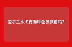 爱尔兰水犬有咖啡色等颜色吗？