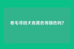 卷毛寻回犬有黑色等颜色吗？