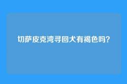 切萨皮克湾寻回犬有褐色吗？