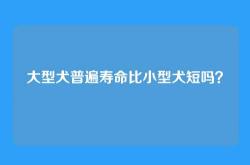 大型犬普遍寿命比小型犬短吗？