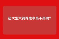 超大型犬饲养成本高不高呢？
