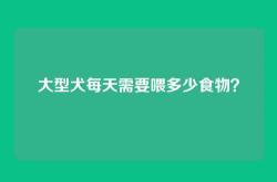 大型犬每天需要喂多少食物？
