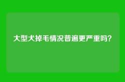 大型犬掉毛情况普遍更严重吗？